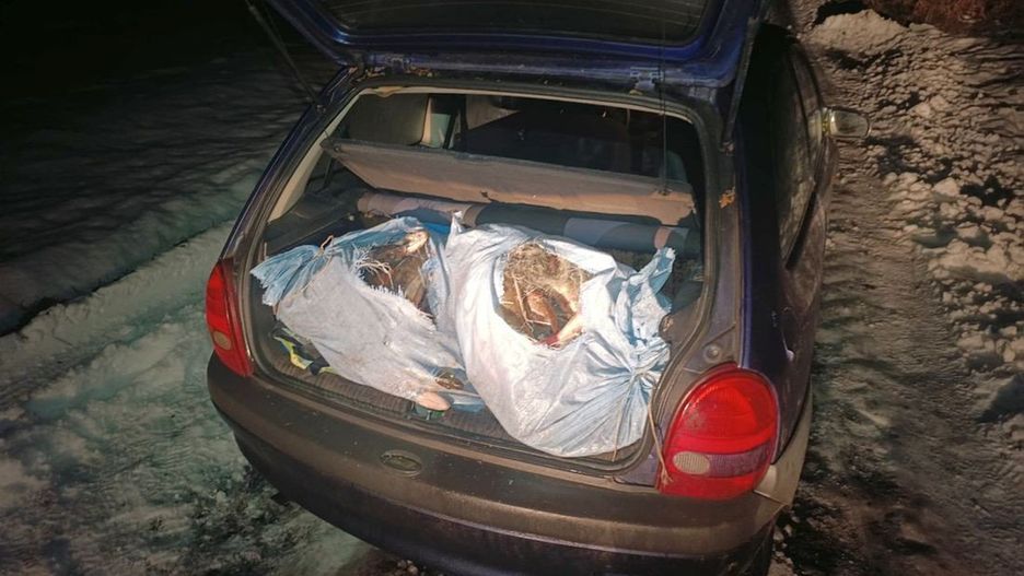 W samochodzie funkcjonariusze znaleźli prawie 100 kg ryb i osiem sieci, które nie powinny być w użyciu