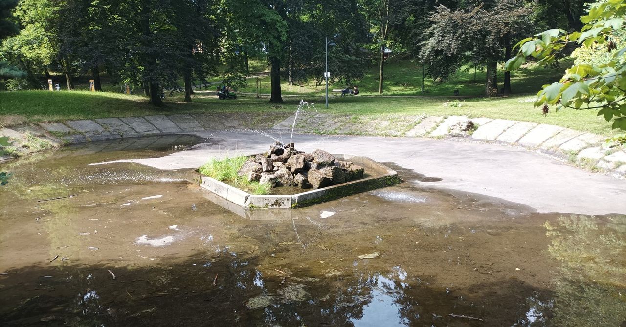 Sosnowiec: Czy zaniedbana fontanna w Parku Dietla odzyska blask? "Wszystko w rękach mieszkańców"