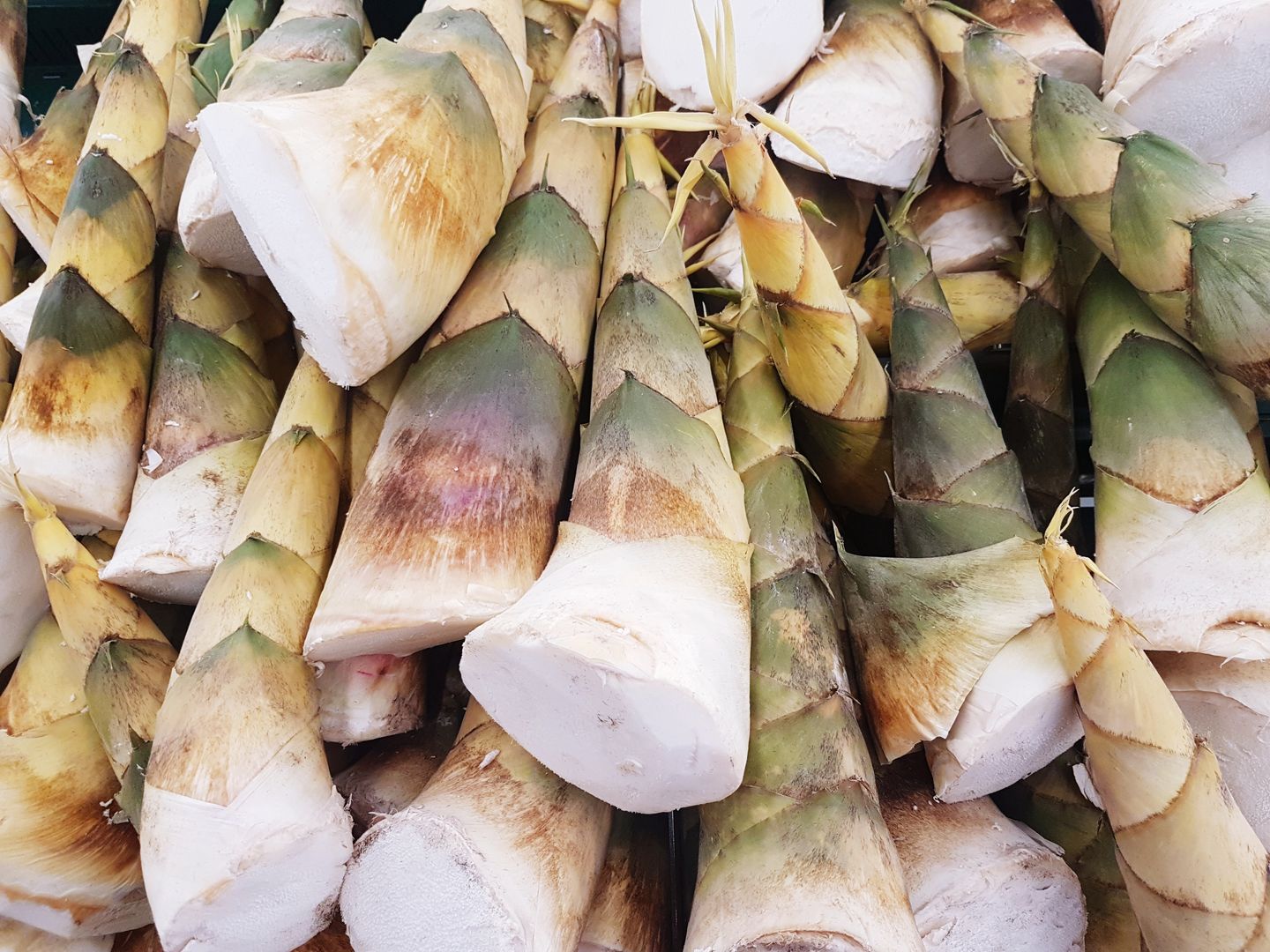 bamboo shoot, farmer market, stall, street market, ingredients, selling, bamboo, retail display, market stall, location, stack, for sale, eating, ingredient, market, retail, raw food, growing, natural, abundance, pollen, vegetable, large group of objects, beauty, green, wellbeing, healthy eating, petal, leaf, backgrounds, food, still life, food and drink, flower, high angle view, freshness, indoors, tree, plant, nature, day, no people, shoot