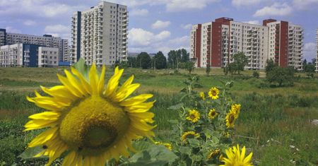 Nowa jakość urbanistyki wielkiej płyty