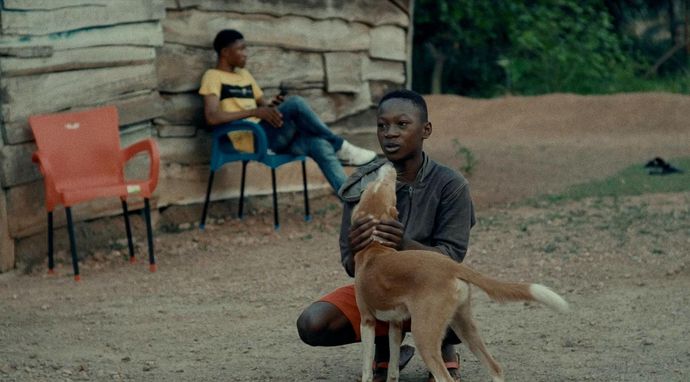 Gdy powieje harmattan