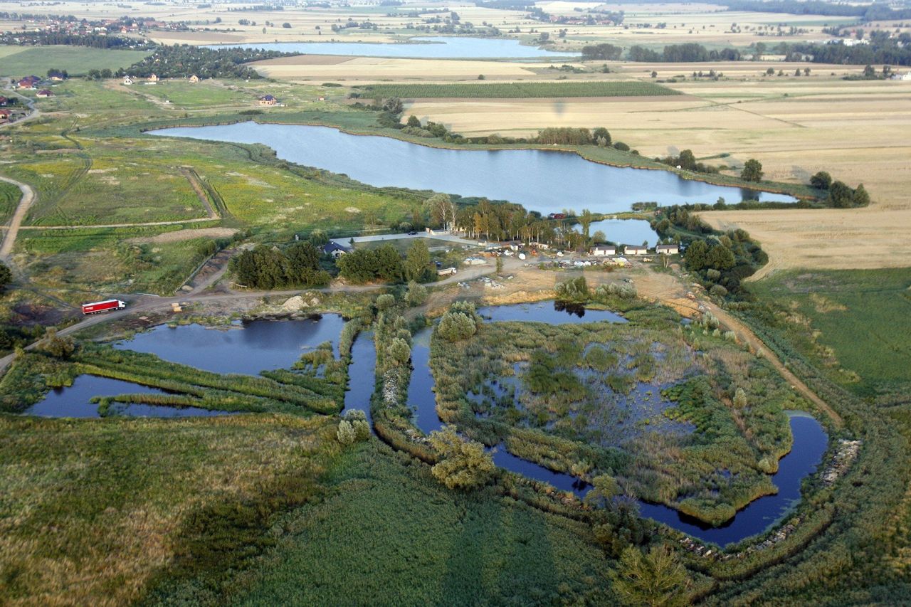 Legnica: Stara kanapa, zużyte grille. Straż Rybacka posprzątała brzeg Jeziora Koskowickiego