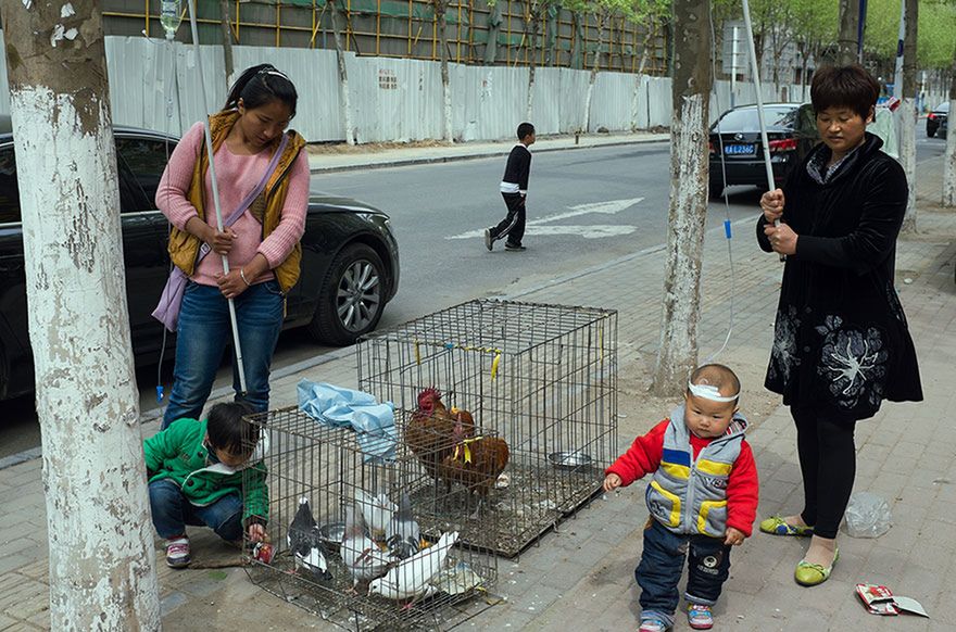 Tao Liu - fotograf amator z Chin, który stał się znany, dzięki humorystycznej fotografii ulicznej 24