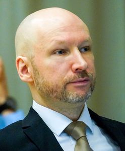 Sąd ocenił wniosek Breivika o warunkowe zwolnienie