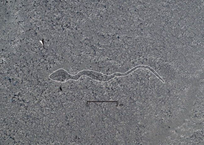 Geoglif z Nazca