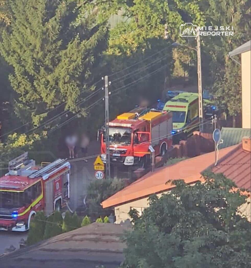 W tle zielone drzewa, na drodze stoją dwa pojazdy: wóz strażacki i ambulans, obok grupka osób.