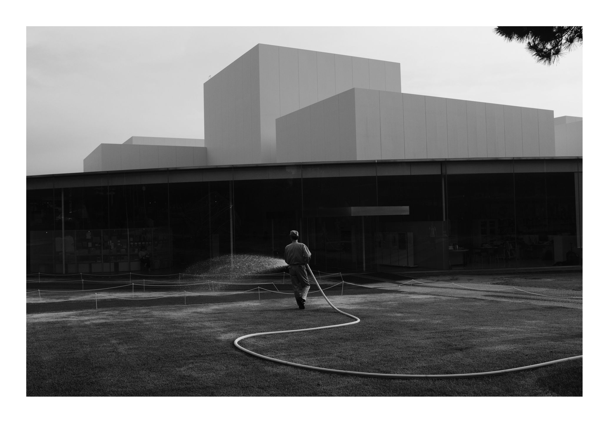 Piotr Leczkowski zwycięzcą polskiej edycji National Awards w Sony World Photography Awards 2019 7