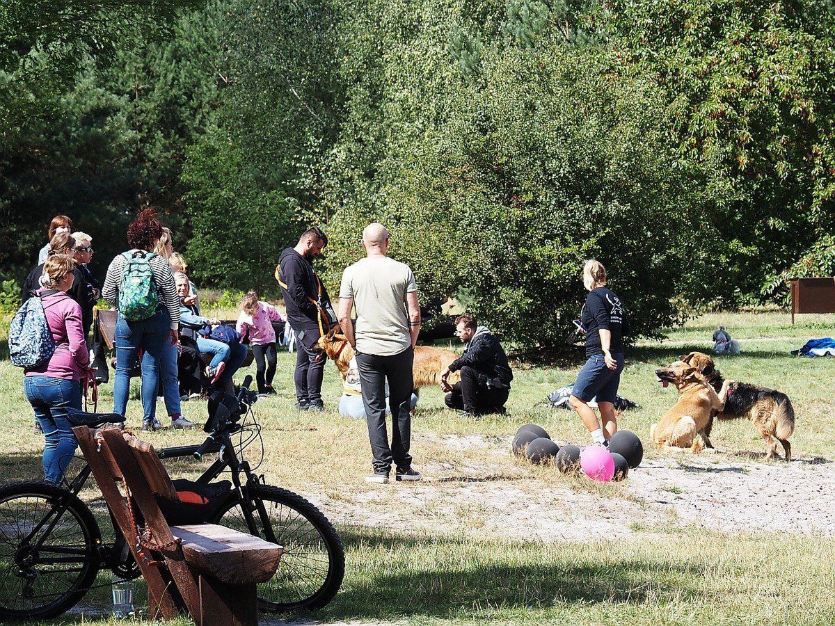 Niedzielny piknik na Uroczysku Lublinek był chwilą relaksu dla psiaków oraz ich właścicieli