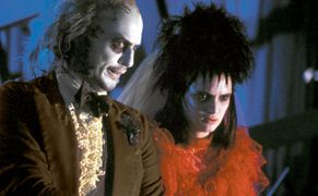 Warner TV Sok z żuka