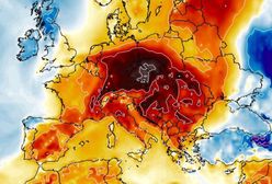 Pogoda. Zmiana tuż przed Wigilią. Nawet 13 st. C