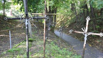 Kraków: Niezwykły cmentarz na obrzeżach miasta. Teraz to miejsce samo umiera