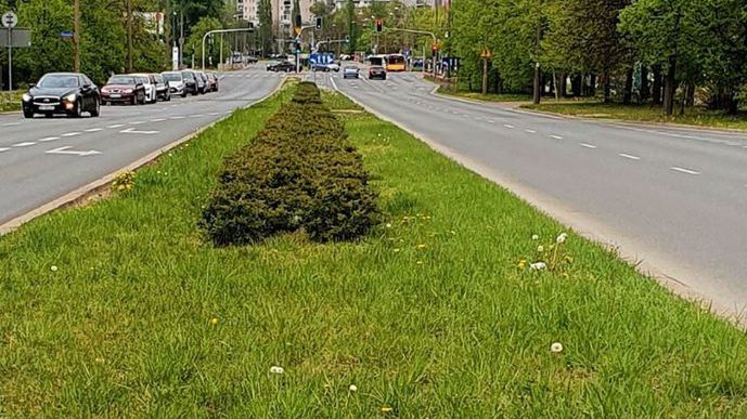 Warszawa. W stolicy powstanie rondo imienia Wielkiej Orkiestry Świątecznej Pomocy