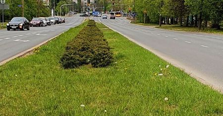 Warszawa. Rondo WOŚP w stolicy? Decyzja jeszcze w tym roku
