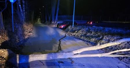 Samochód wjechał w leżące na jezdni drzewo. Do akcji wkroczyli strażacy z OSP i usunęli konar
