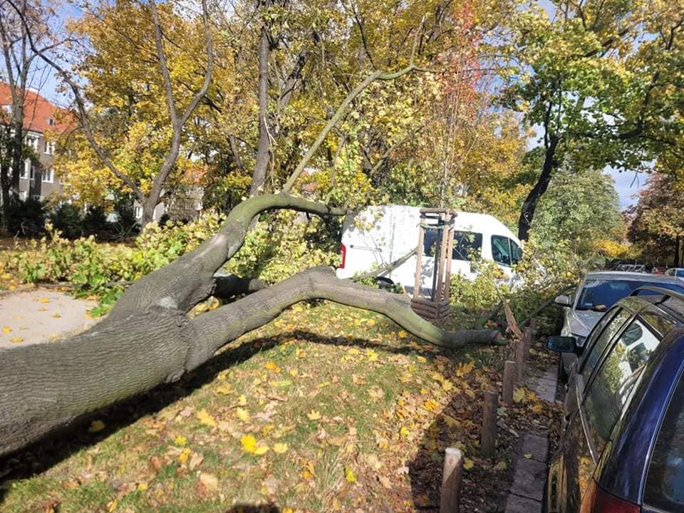 Miej oczy dookoła głowy! Znów nadciąga mocny wiatr