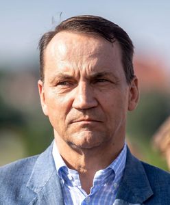 Radosław Sikorski o stanie wyjątkowym: Strzelanie z armaty do wróbla