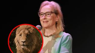 Burza wokół nowych "Opowieści z Narnii". Jeden wybór rozjuszył fanów