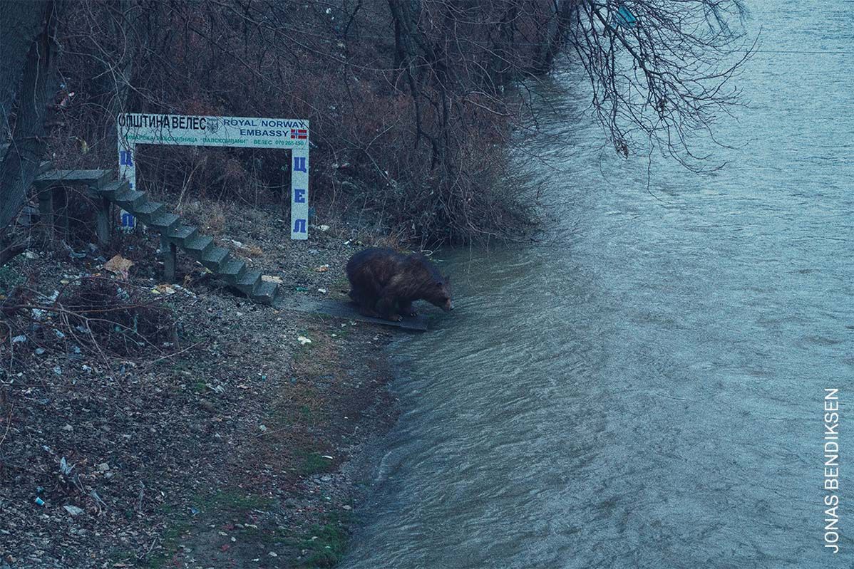 World Press Photo 2022: Poznaj najlepszych fotografów różnych kontynentów 62