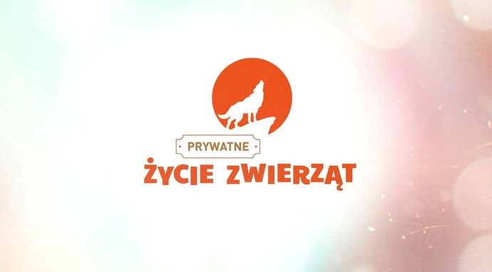 Prywatne życie zwierząt