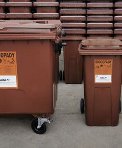 Wrocław. Obowiązkowa zbiórka bioodpadów w kolejnej dzielnicy. Czas na Krzyki