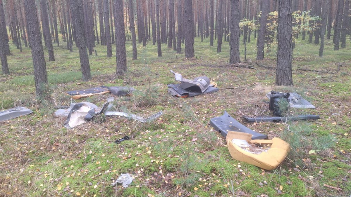 Zaśmiecony las koło Poznania.