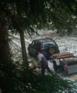 Chciał ukraść drewno, nagrała go kamera. Teraz spotkają go konsekwencje