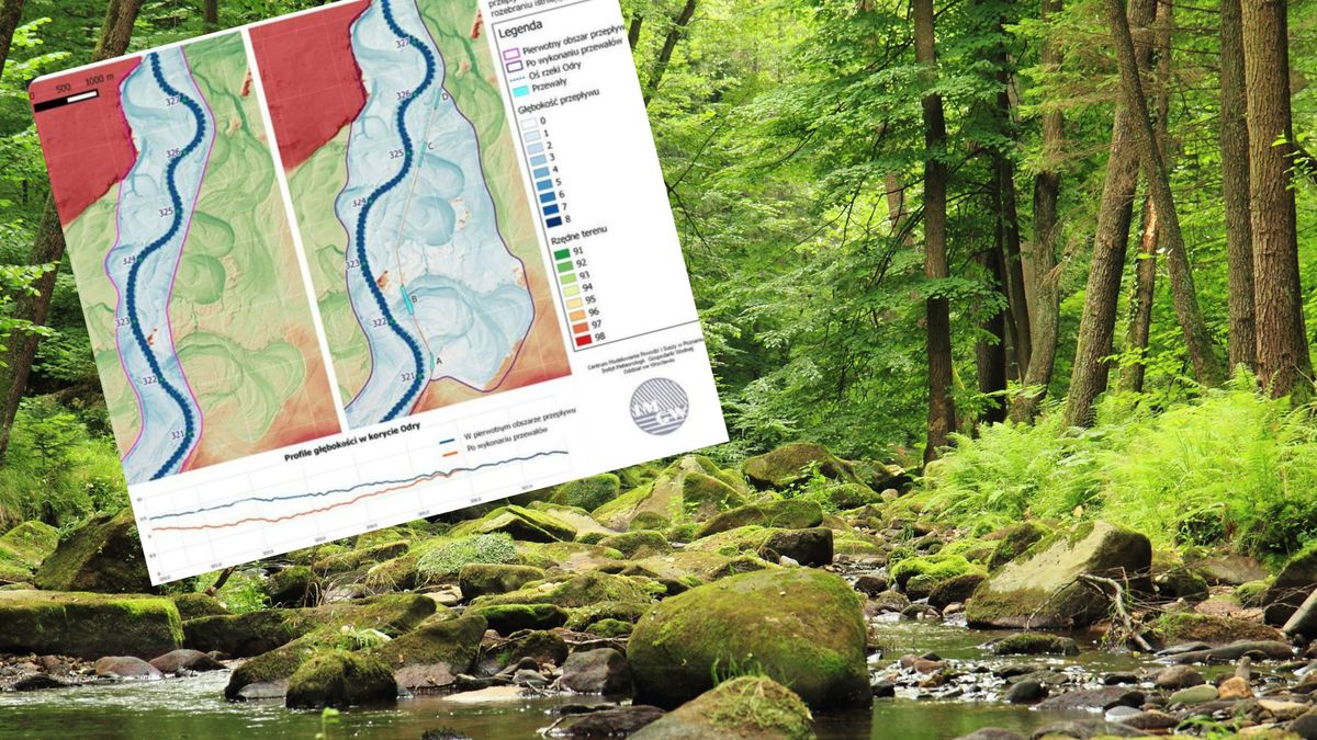 Lasy Państwowe o retencji wodnej