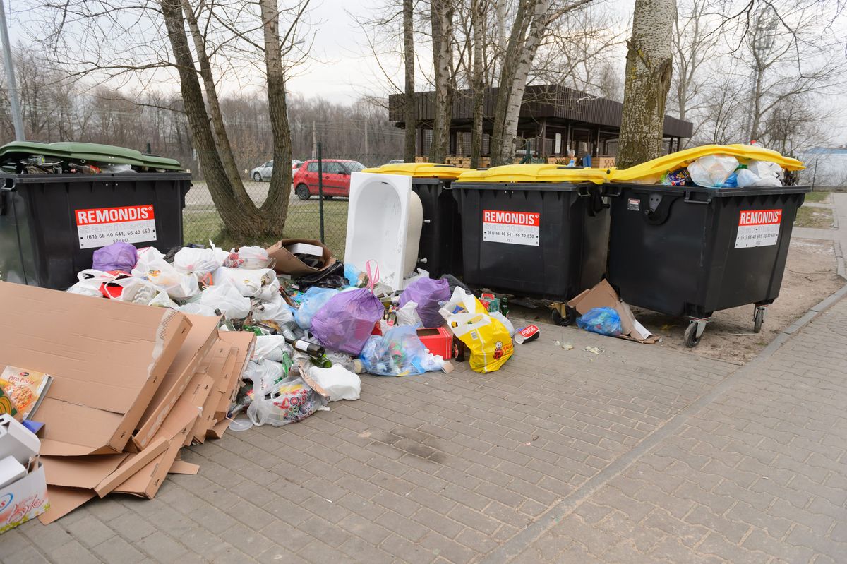 Sąsiad wyrzuci śmieci bez segregacji – zapłacisz i ty. Ile? Nawet czterokrotnie więcej