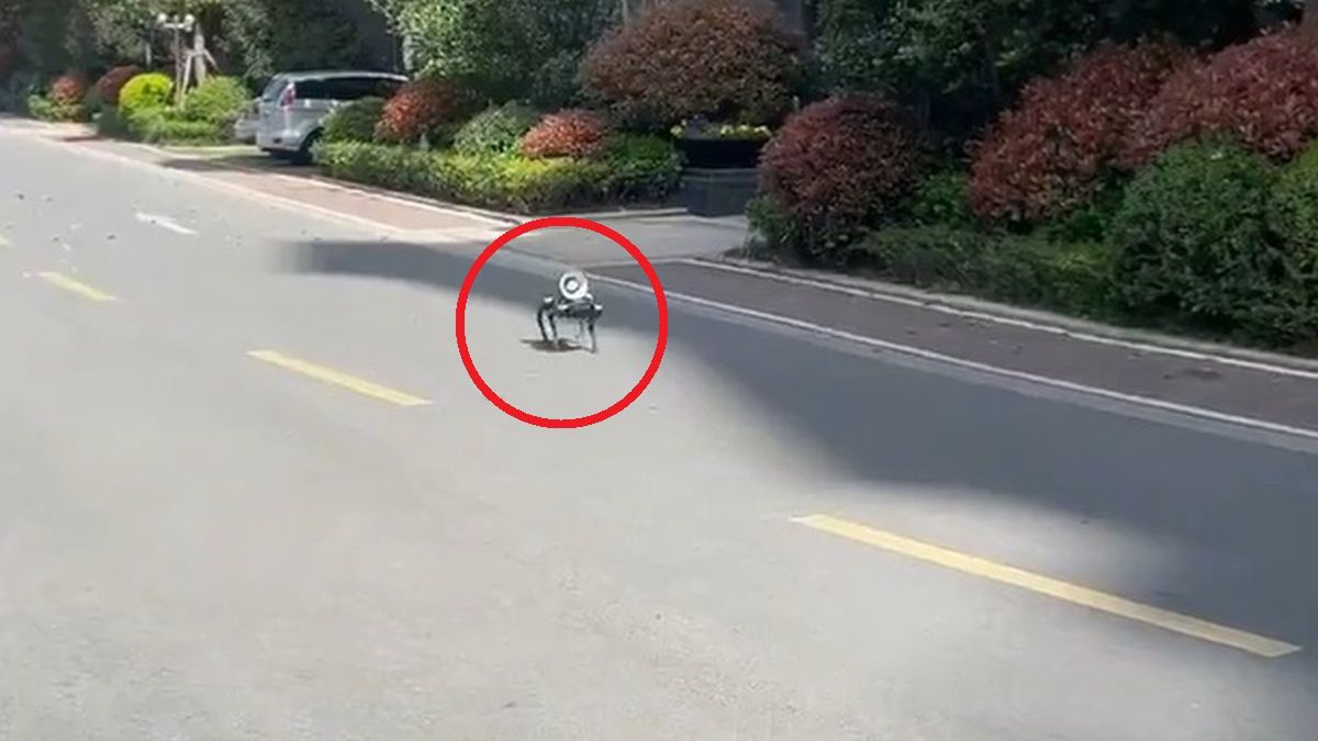 Robot przypomina o restrykcjach w Szanghaju 