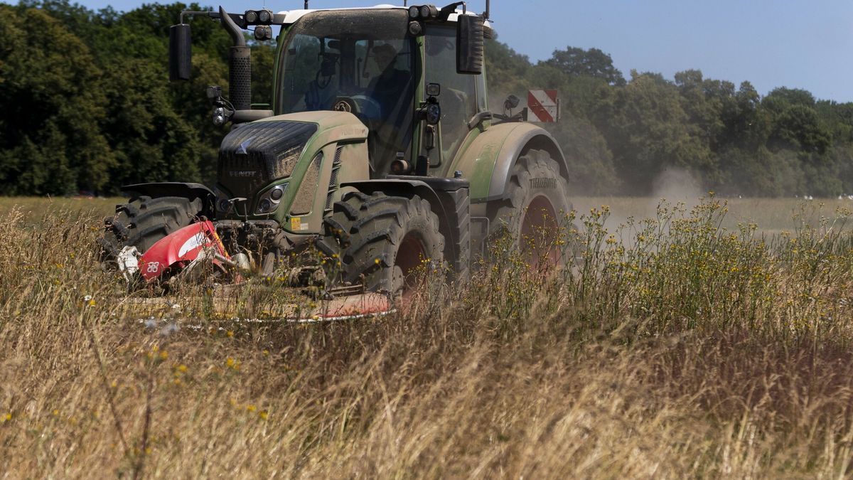 Spór o sprzedaż ziemi obcokrajowcom. Oto dane MSWiA