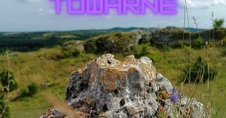 Góry Towarne na szlaku Orlich Gniazd