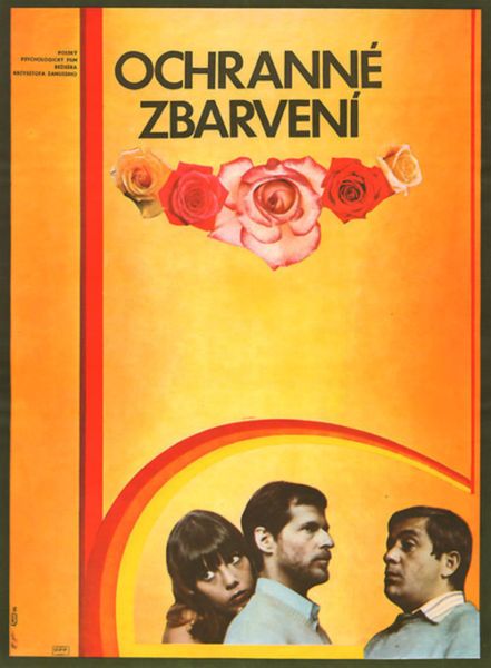 Obraz