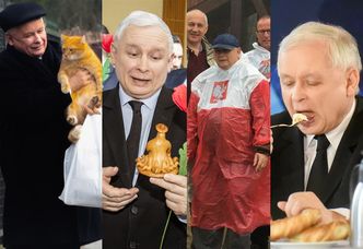 Patriota, dżentelmen, miłośnik kotów - Jarosław Kaczyński kończy dziś 70 lat (ZDJĘCIA)