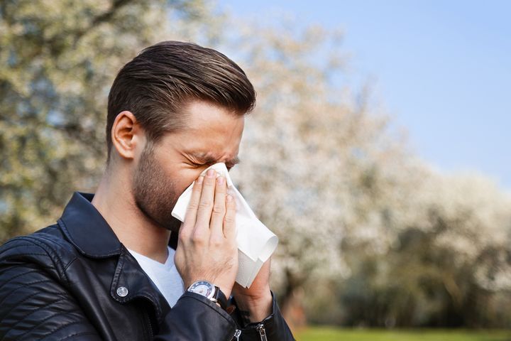 Objawy alergii może osłabić mieszanka probiotyków
