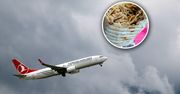 Głodny w samolocie? Na cienkim albo w bułce. Te linie oferują kebab na pokładzie