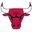 Chicago Bulls