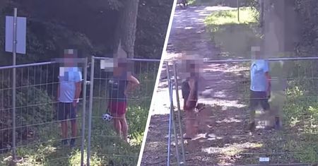 Niemieccy turyści ukarani przy granicy. Interwencja Straży Granicznej