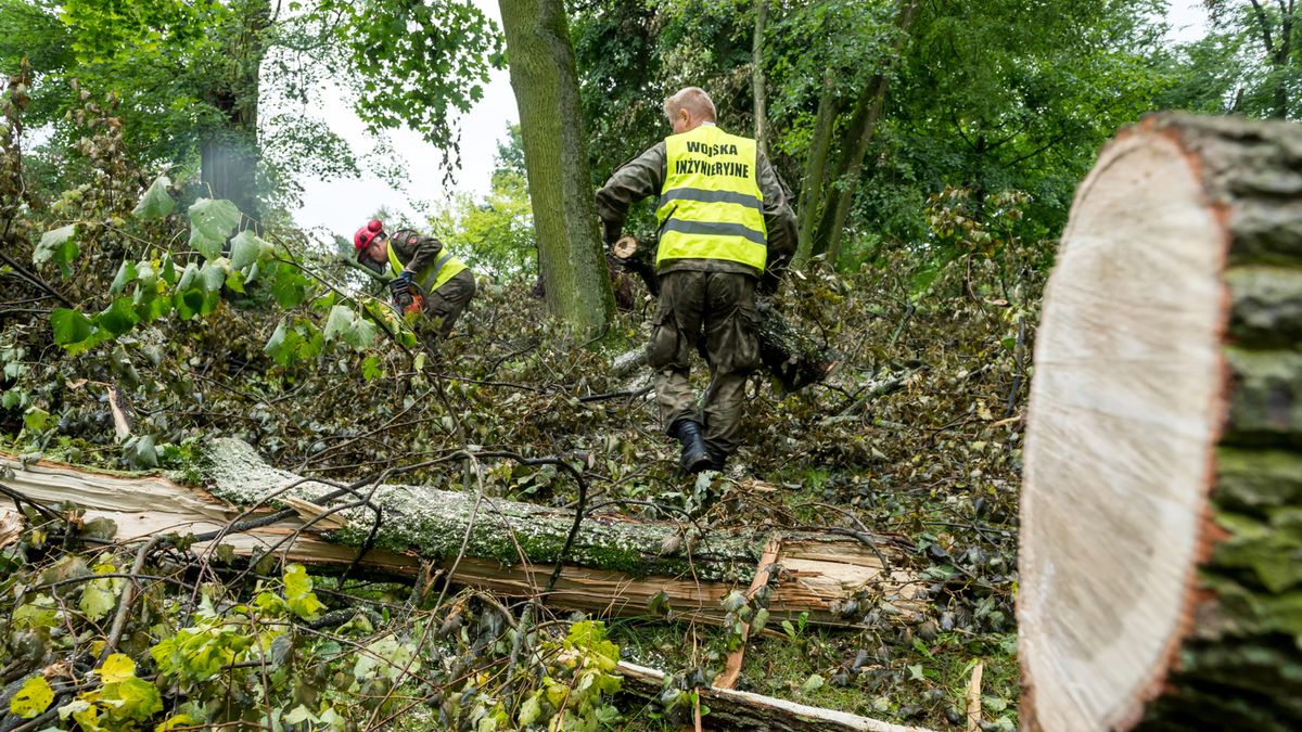 Usuwanie skutków nawałnic w zespole pałacowo-parkowym w Lubostroniu