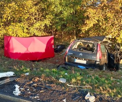 Tragiczny wypadek. Kierowca zginął na miejscu