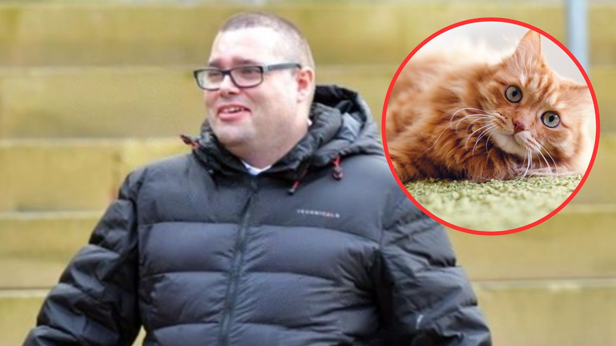 Wyprał kota w pralce. Zwierzę zdechło. 