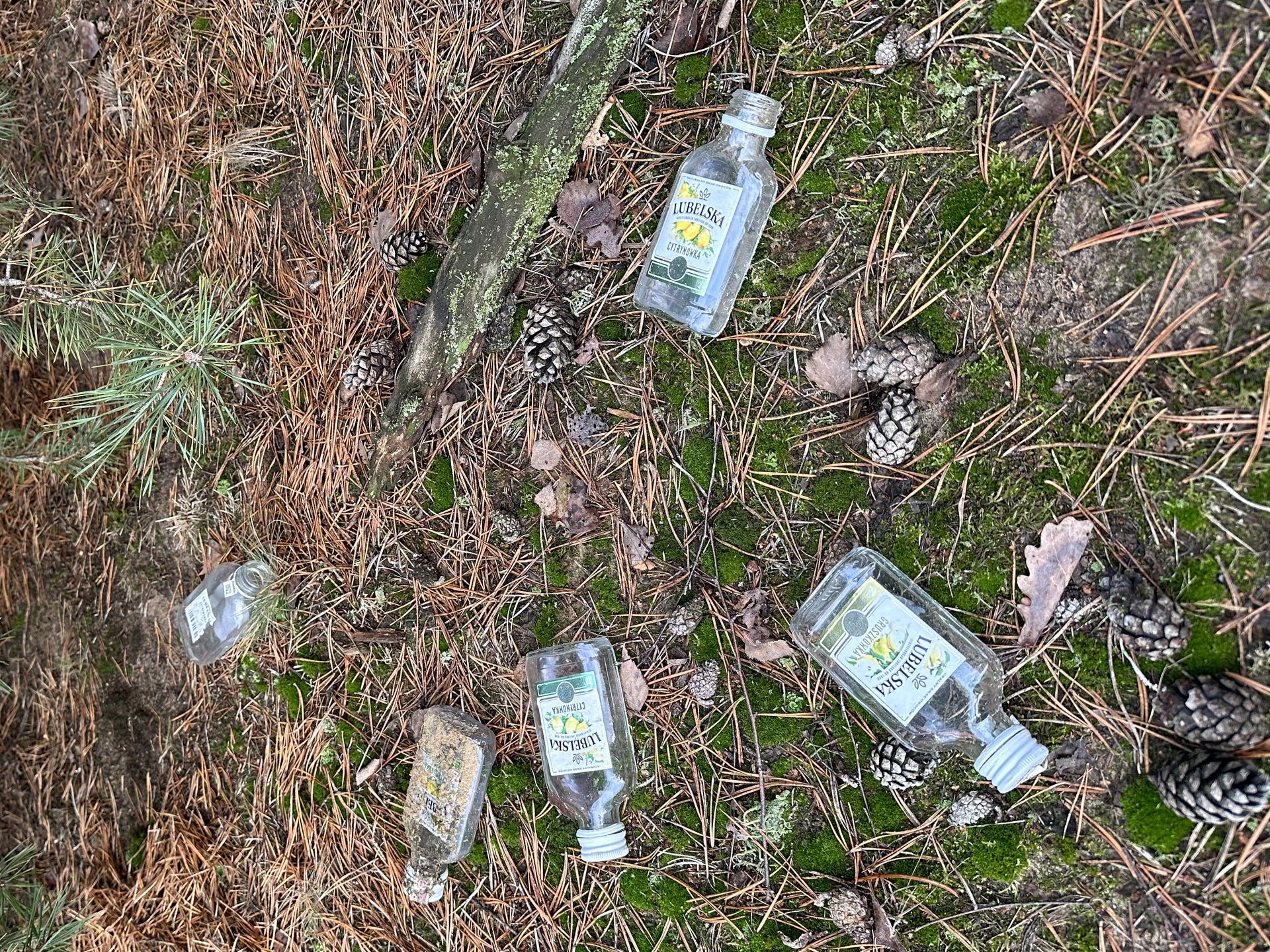Ludzie wyrzucają w lesie butelki po alkoholu