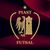 Piast Gliwice