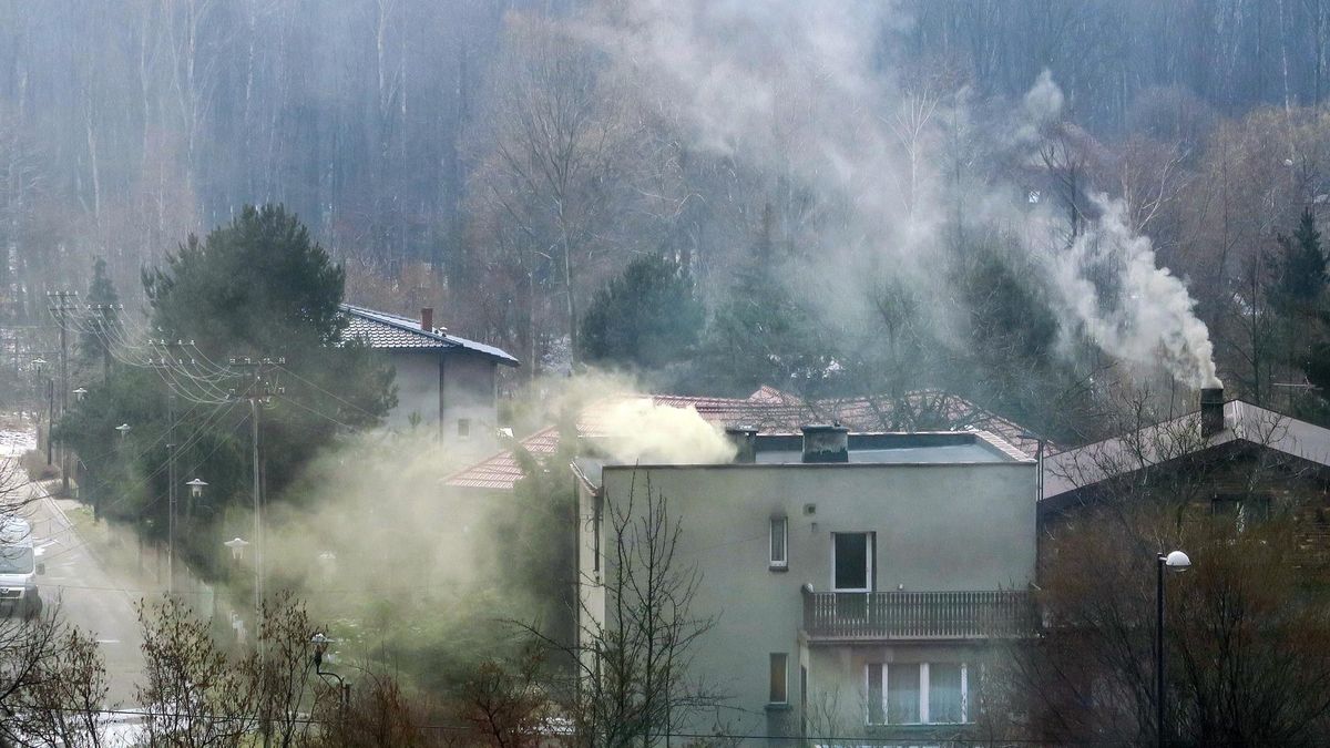 Jak wskazuje Główny Inspektorat Ochrony Środowiska jakość powietrza w sobotę 17 listopada na ogół jest dobra lub umiarkowana.