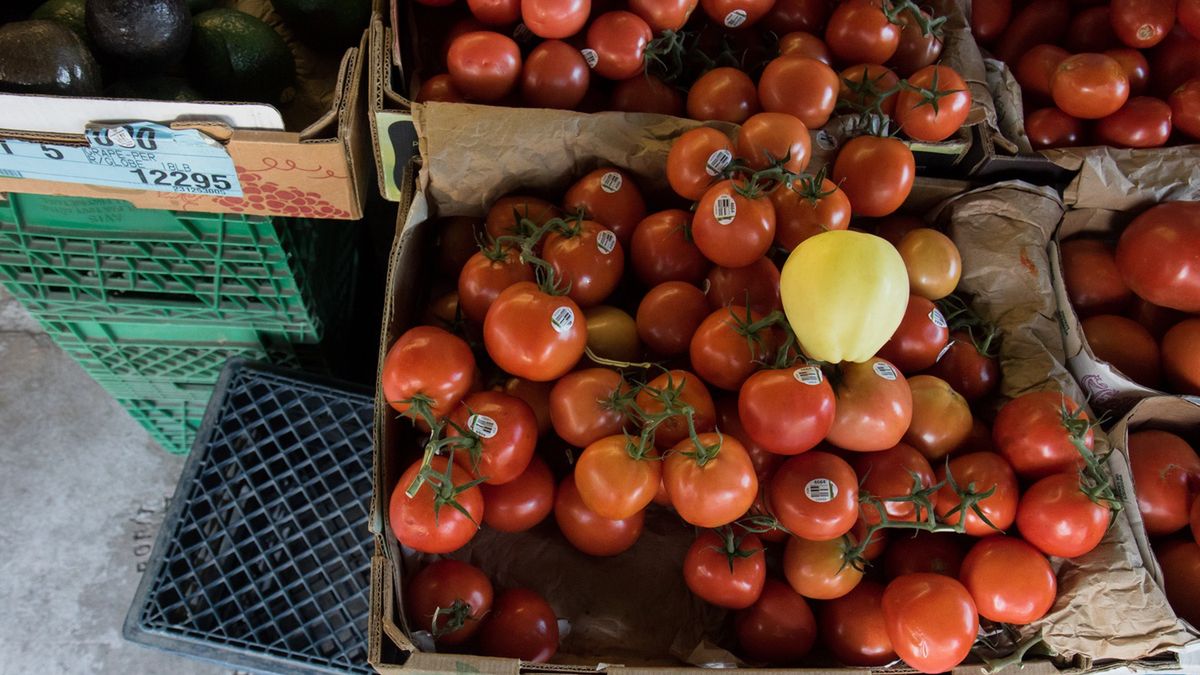 Pomidory z naklejkami.