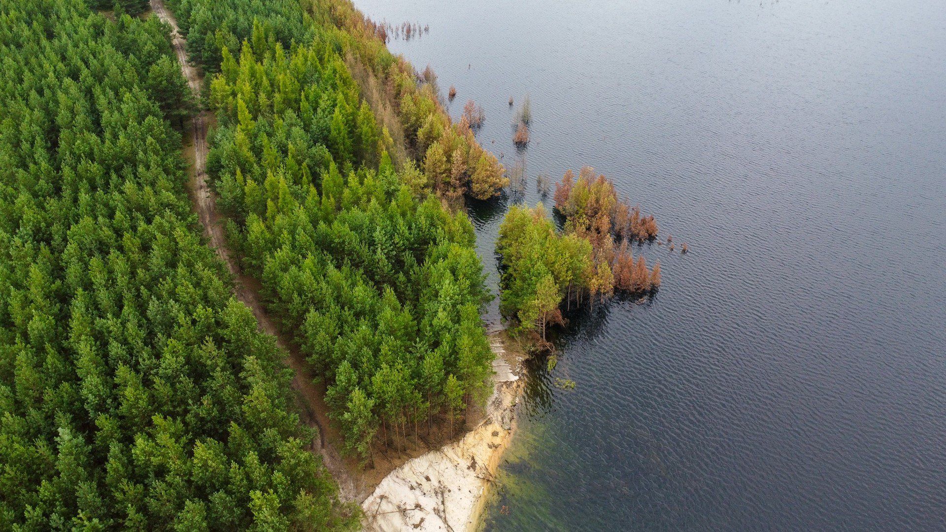 Zalewisko w Hutkach