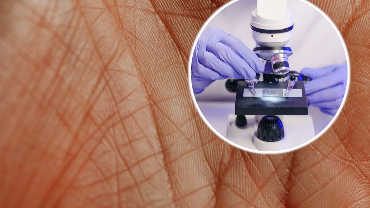 Naukowcy odtwarzają ludzką skórę w laboratorium.