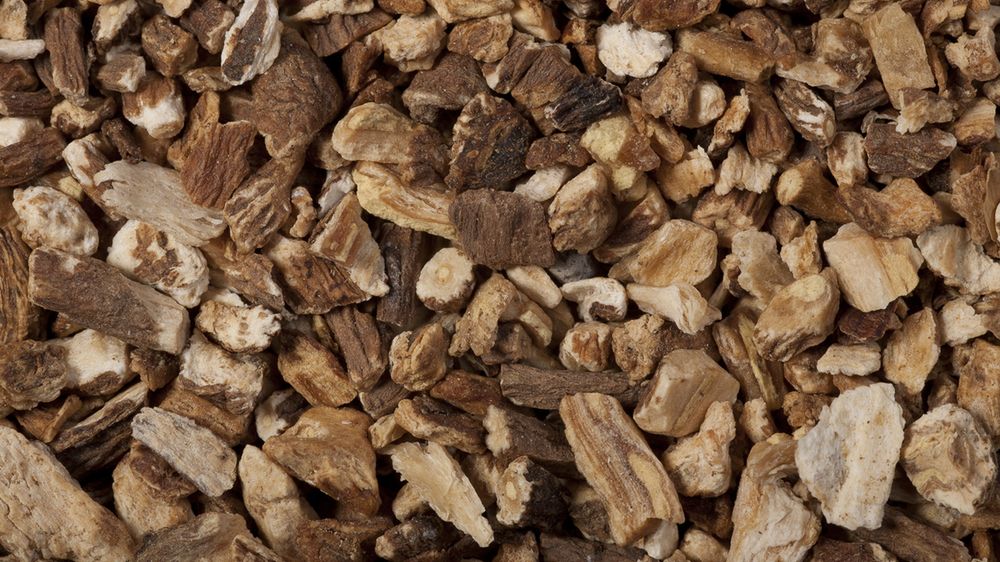 Roślina, która zabija komórki rakowe w 48 godzin