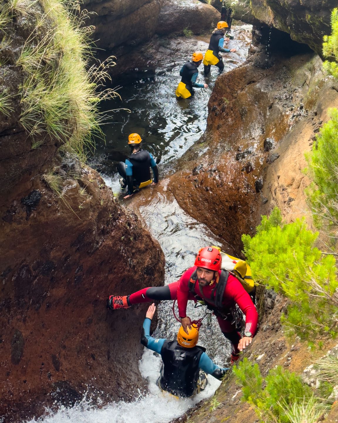 Fot. Piotr Dróżdż