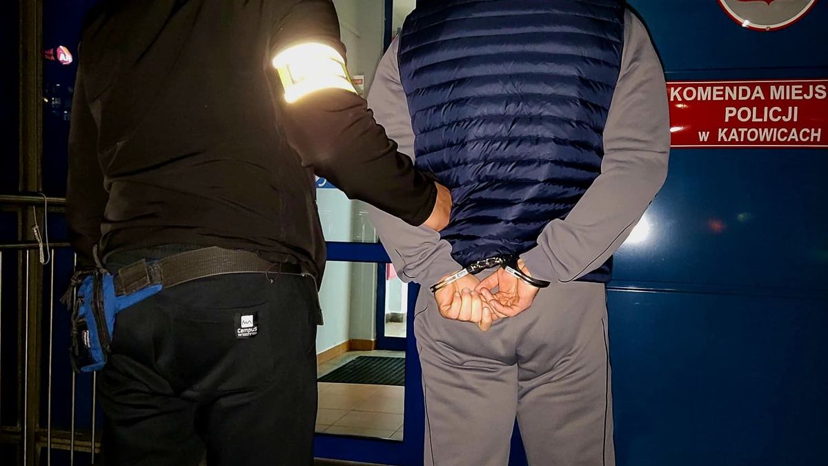 policja