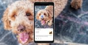 Jeszcze jeden powód, by korzystać z Obiektywu Google. Dostał nową funkcję